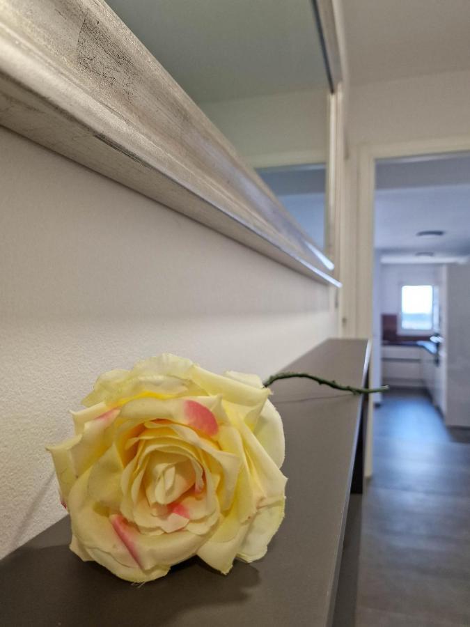 Villa Poseidon Novalja Eksteriør billede